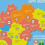 В Новгородской области новые случаи коронавируса зарегистрированы в 12 муниципалитетах