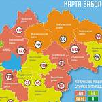 В Новгородской области за сутки новые случаи COVID-19 не отмечены в семи районах