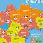 В Новгородской области новые случаи COVID-19 за сутки не зарегистрированы в пяти районах