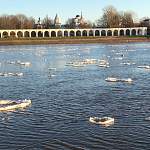 Фотофакт: в Великом Новгороде по Волхову несколько дней плыли ледяные «блины»