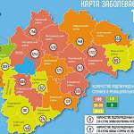 В Новгородской области новые случаи COVID-19 зарегистрированы в 15 муниципалитетах