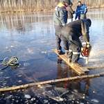 В Чудовском районе провалился под лёд и погиб 74-летний рыбак