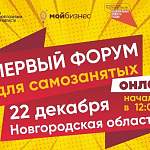 В Новгородской области пройдет первый онлайн-форум для самозанятых