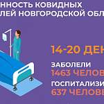 В Новгородской области в ковидных госпиталях свободны 18,6% коек. В Санкт-Петербурге — 1%