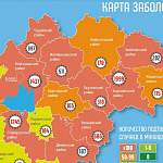 В Новгородской области новые случаи COVID-19 за сутки не регистрировались в семи районах