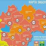 Новые случаи COVID-19 отмечены в 10 из 22 муниципалитетов Новгородской области