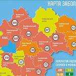 В Новгородской области за последние сутки случаи COVID-19 отмечены в 15 муниципалитетах 