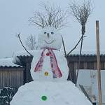 Фотофакт: в Боровичской деревне Речка местные жители слепили трёхметрового снеговика