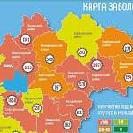 В Новгородской области за сутки новые COVID-19 зарегистрированы в 14 муниципалитетах