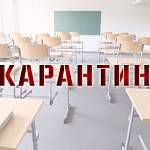 Школу в Поддорском районе закрыли на карантин по ОРВИ 