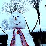 МЧС: через несколько часов в Новгородскую область придёт мокрый снег и гололедица
