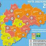 71 из 171 случая коронавируса за сутки пришлись на Боровичский и Новгородский районы