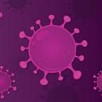 Главные новости о коронавирусе 31 января: в России падает заболеваемость COVID-19