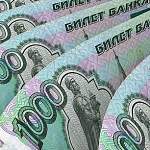 В Новгородской области легализация налоговой базы за год принесла полмиллиарда рублей