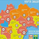 Новые случаи коронавируса зарегистрированы в 12 из 22 муниципалитетах Новгородской области