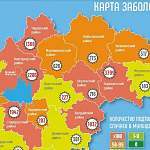 В Новгородской области за сутки отметили новые случаи COVID-19 в 12 муниципалитетах из 22