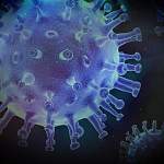 Главные новости о коронавирусе 10 февраля: в России снижается количество случаев COVID-19