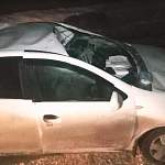 В Новгородском районе водитель получил травмы в столкновении с лосем