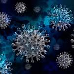 Главные новости о коронавирусе 23 февраля: в ВОЗ рассказали, когда завершится пандемия
