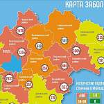 За последние сутки в Новгородской области новые случаи коронавируса отметили в 16 из 22-х муниципалитетах