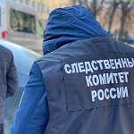 В Новгородской области допустившие гибель двух новорождённых чиновники стали фигурантами уголовных дел