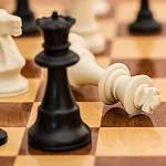 Новгородцы выявили сильнейших в турнире по быстрым шахматам