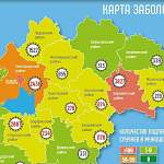 В Новгородской области новые случаи коронавируса выявили в половине муниципалитетов