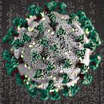 В России выявлены британский и южноафриканский штаммы коронавируса