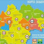 В Новгородской области новые случаи коронавируса за сутки зарегистрировали в восьми муниципалитетах
