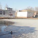 Сегодня в пруду в центре города Чудово утонул пятилетний мальчик
