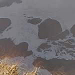 В Новгородском районе ручей Дороженский отравлен нефтепродуктами