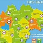 В Новгородской области отметили новые случаи COVID-19 за сутки в семи муниципалитетах