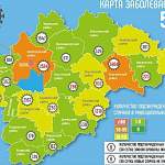 В Новгородской области больше всего новых случаев COVID-19 выявили в Великом Новгороде и Боровичском районе