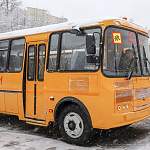 Прокуратура проверит безопасность школьных перевозок в Новгородской области