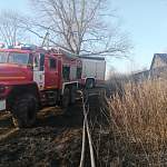 В Новгородской области из-за пала травы чуть не сгорела часть деревни