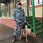 В Новгородском районе служебный пёс Юст привёл полицейских в логово грабителей