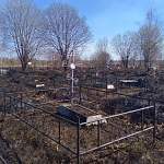 Часть кладбища в Сольцах выгорела из-за пала травы