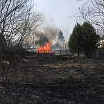 Из-за пала травы в Новгородской области сгорели четыре дома, сарай и едва не пропала целая деревня