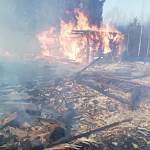 Причиной масштабного пожара в Маловишерском районе мог стать поджог травы
