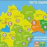 В Новгородской области за сутки коронавирус проявил себя в пяти муниципалитетах