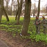 Хорошие новости. Специалисты решили сохранить от спила ряд деревьев в Кремлевском парке
