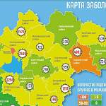 В Новгородской области новые случаи коронавируса зарегистрировали в восьми муниципалитетах