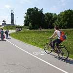 В мае на асфальт вдоль Новгородского кремля нанесут велоразметку