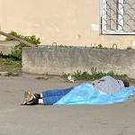 Убийство на пересечении улиц Ломоносова и Нехинской раскрыто в течение суток