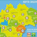 В Новгородской области новые случаи коронавируса выявили в десяти муниципалитетах
