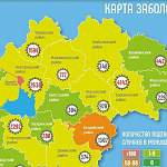 В Новгородской области новые случаи коронавируса отметили в 12 муниципалитетах