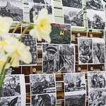 Авторам выставки в НовГУ удалось воссоздать хронологию всех 1418 дней Великой Отечественной войны