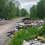 С несанкционированной свалки в деревне Чечулино вывезли больше ста кубометров мусора