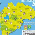 В Новгородской области новые случаи COVID-19 выявили в 13 муниципалитетах
