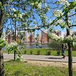 В Великом Новгороде объявят конкурс на должность руководителя парков